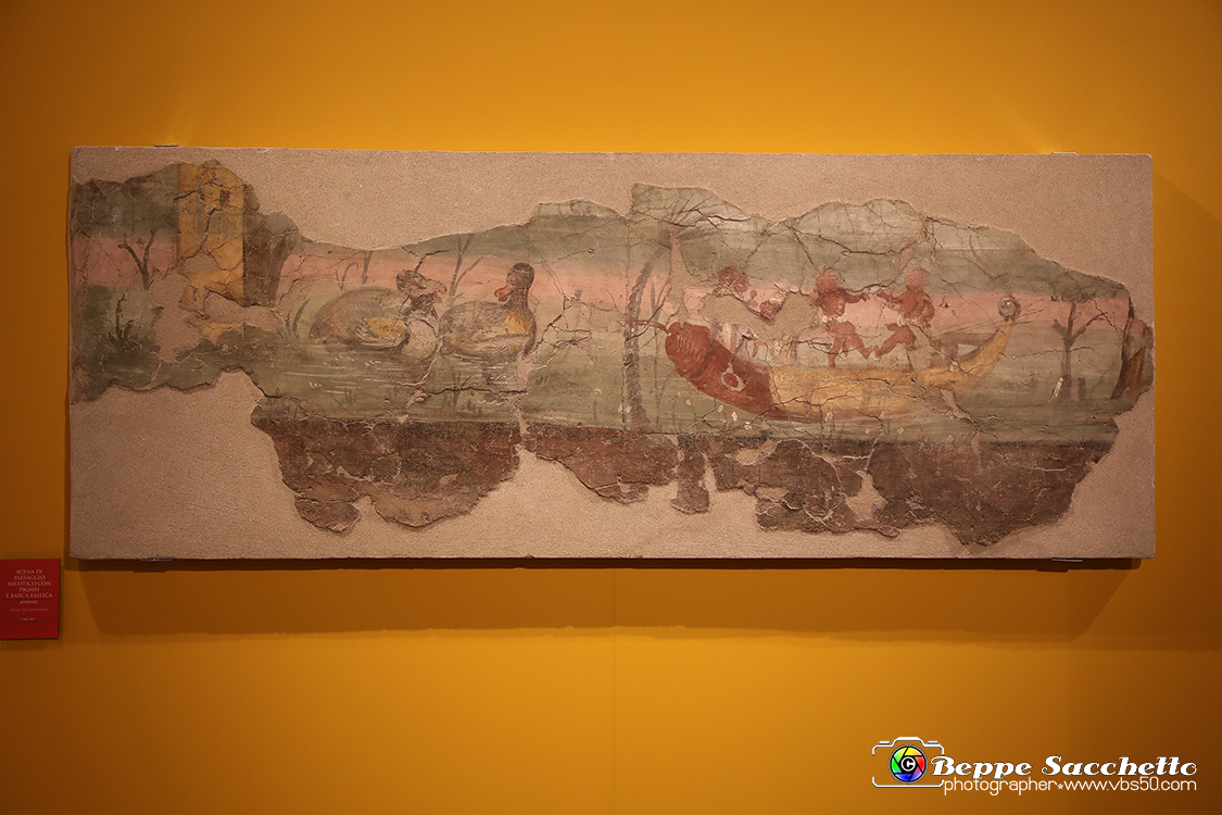 VBS_8954 - Mostra Invito a Pompei.jpg